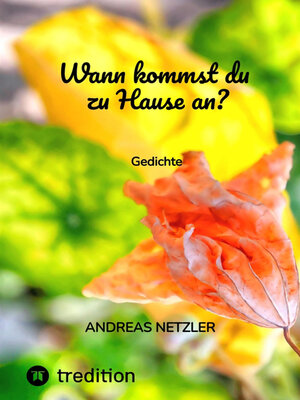 cover image of Wann kommst du zu Hause an?